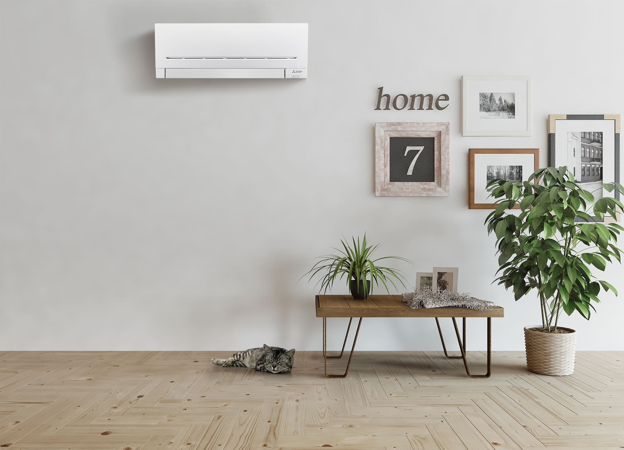 Air Conditioners for Optimal Comfort in New Zealand Homes | Element Air
