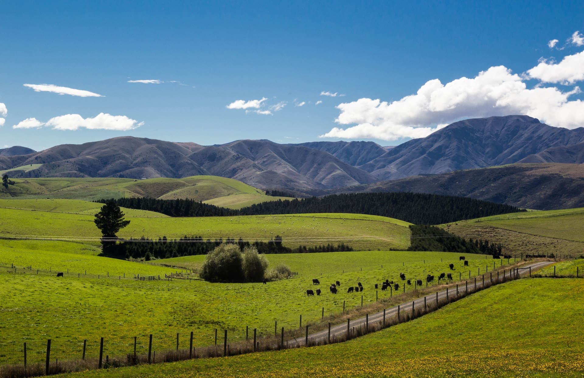 rural taupo New Zealand