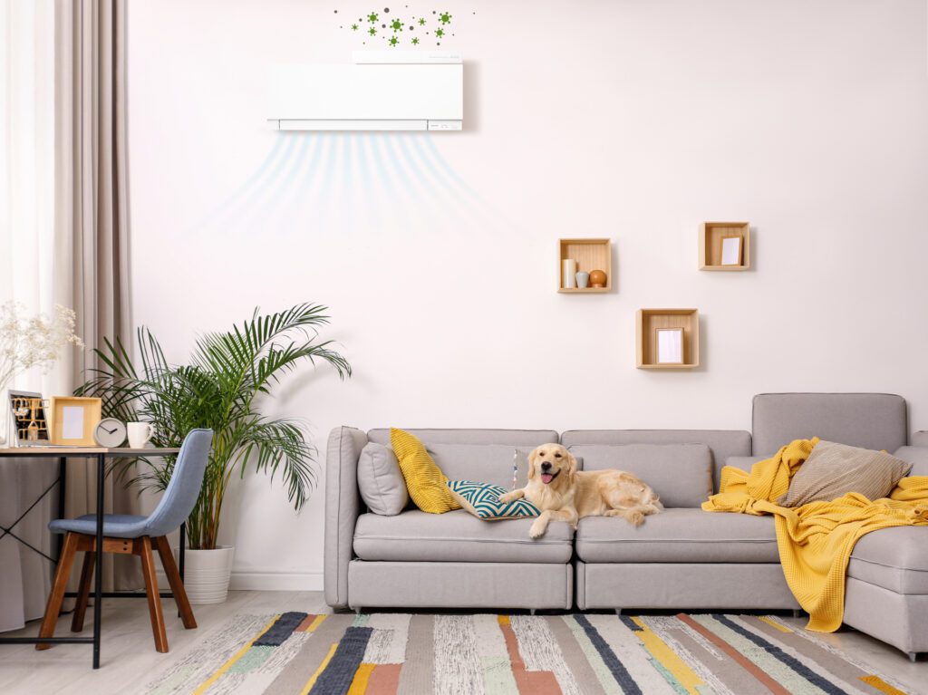  Materials Ids Lifestyle Plasma Quad Connect And Labrador